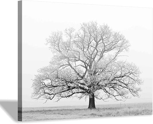 Hardy Gallery Winter Tree Canvas Print Artwork: Grey & White Landscape Print Wall Art for Bathroom (16'' x 12'')