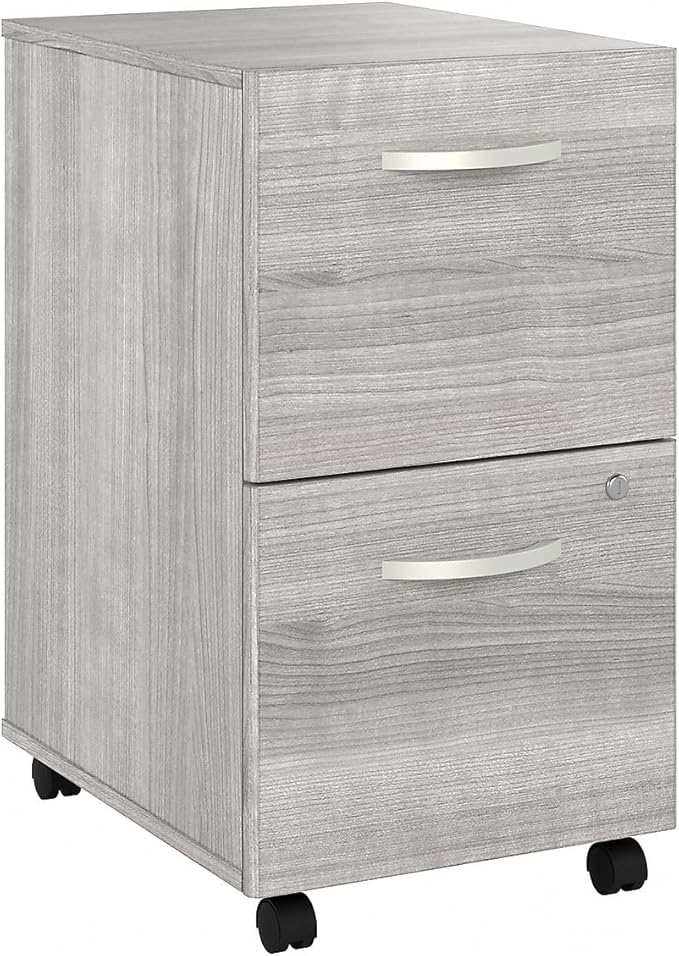 Bush Business Furniture Hybrid 2 Drawer Mobile File Cabinet-Assembled, Platinum Gray