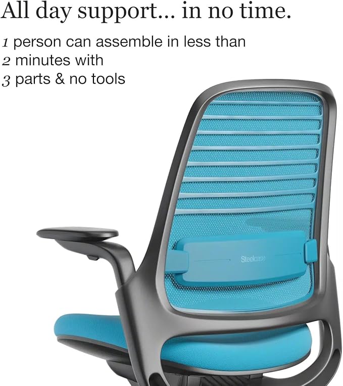 Steelcase Series 1 Office Chair - Ergonomic Work Chair with Wheels for Carpet - Helps Support Productivity - Weight-Activated Controls, Back & Arm Support - Easy Assembly - Blue Jay