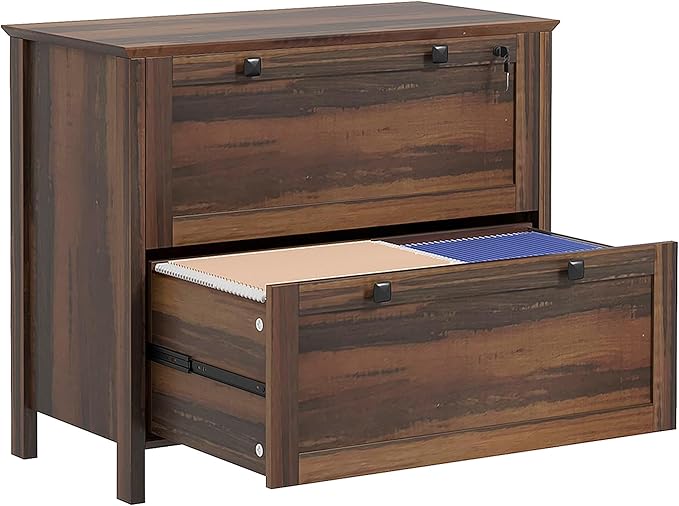 2 Drawer File Cabinet with Lock,Modern Farmhouse Home Office Filing Organizer for Letter Legal A4 Size File Folder Storage,Lateral Filing Cabinet with Keys and Adjustable Hanging Bar (Style-01)