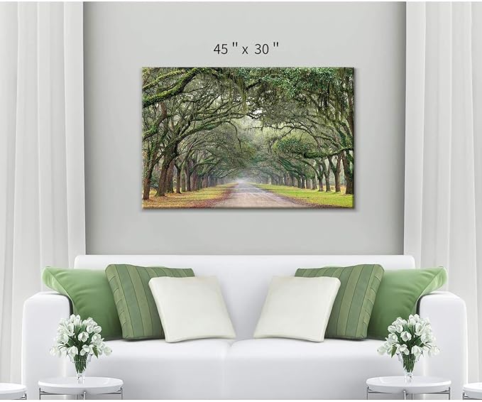 Hardy Gallery Green Forest Landscape Wall Art: Nature Canvas Oak Tree Lined Road of Savannah Artwork Picture Large Painting for Home Wall Decor (45'' x 30'' x 1 Panel)