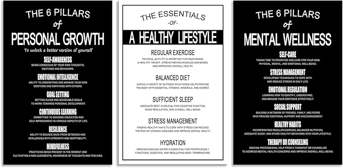 The 6 Pillars of Personal Growth, Mental Wellness & Healthy Lifestyle Wall Art - 3 Piece Motivational Posters-Minimalist Black & White Decor for Office- Self Care & Mental Health Prints [72''Wx 36''H]