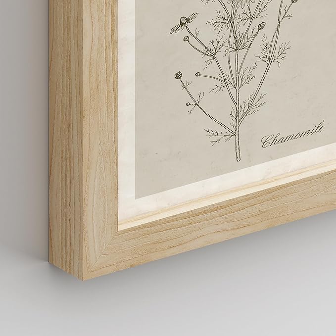 SIGNWIN Framed Poster Wall Art Set of Wildflower, Botanical Floral, Minimalist Decor, Vintage Poster for Living Room, Bedroom, Office - 8"x10"x 8 Natural