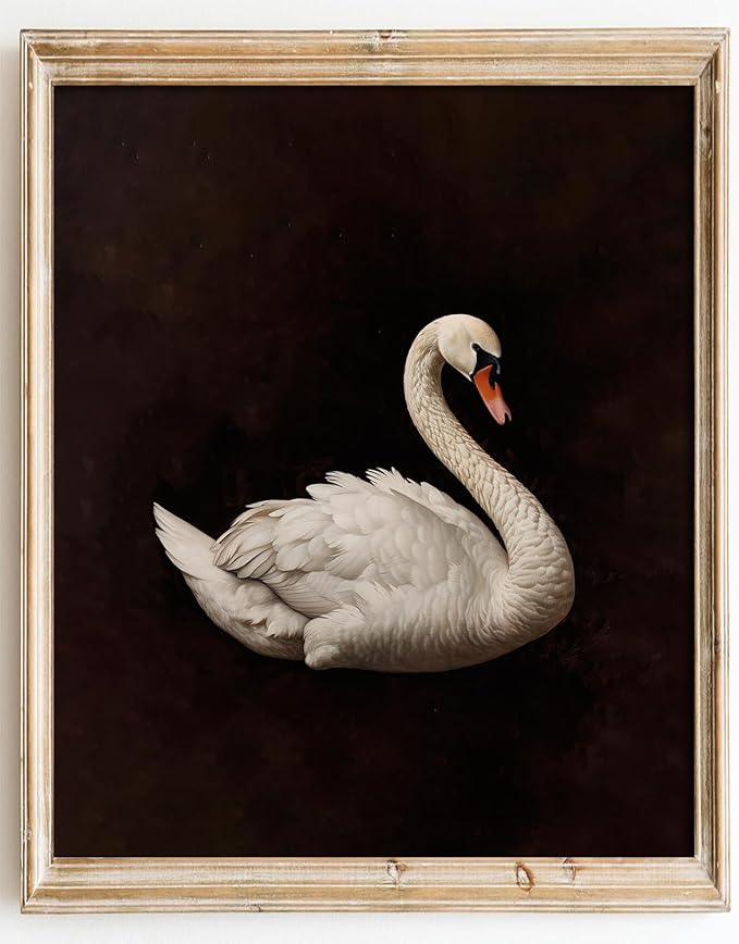 Kizbok Vintage Wall Art Decor - Classical Dark Swan Canvas Art Prints - Nursery Wall Decor - Antique Watercolor Swan - Pictures for Bedroom, Bathroom, Office Decor (8" x 10" - UNFRAMED)