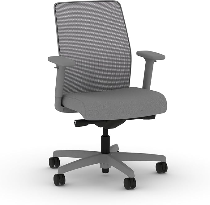 HON Ignition 2.0 Low Back Task Chair, Advanced Synchro-Tilt Control, Office Chair with Lumbar Support, Height and Width Adjustable Arms, Titanium Frame, Frost