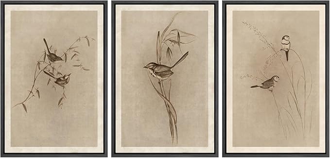 MUDECOR Framed Wall Art Print Set Vintage Bird Wheat Ear Illustrations Modern Art Boho Decorative Colorful Chic for Living Room, Bedroom, Office - 24"x36"x3 Black
