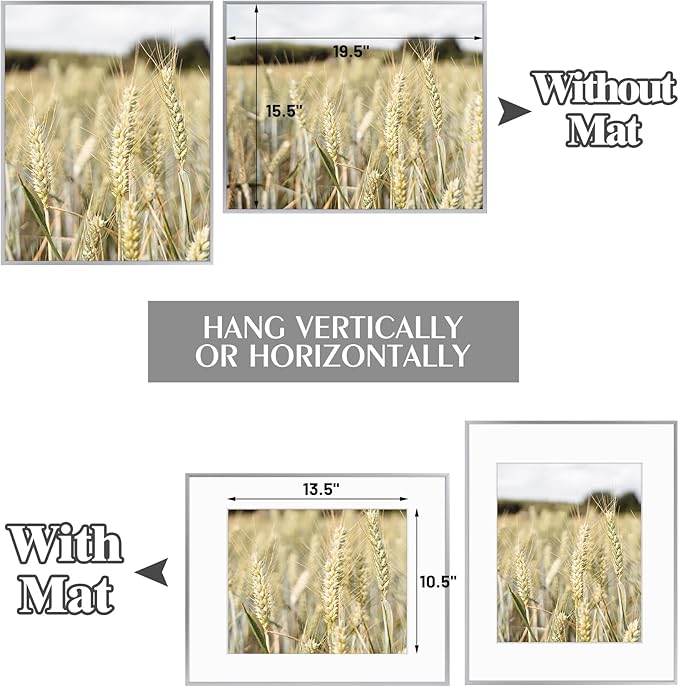 Golden State Art, Gallery Wall Frame Set of 6 - Silver 16x20 Aluminum Photo Frames with Mat for 11x14 Pictures - 16 x 20 inch Metal Frame with Real Glass Cover - Elegant Home or Office Decor