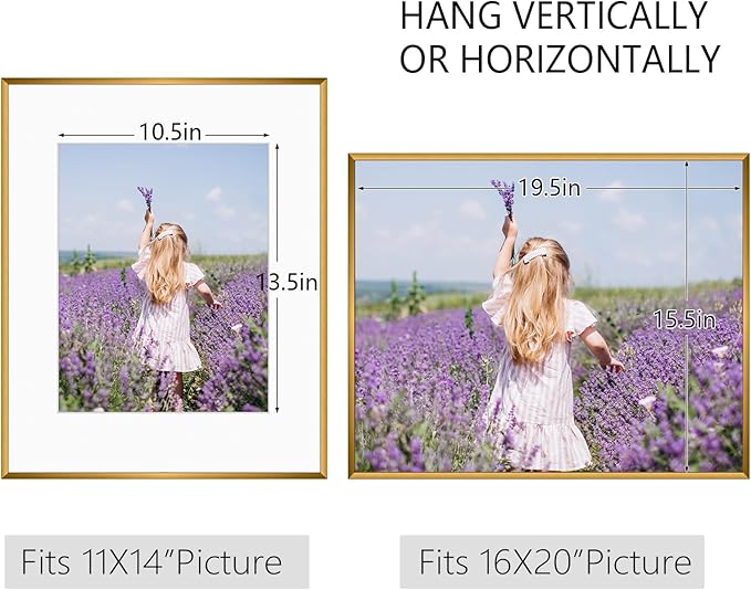Golden State Art, Gallery Wall Frame Set of 6 - Bronze 12x16 Aluminum Photo Frames with Mat for 8.5x11 Pictures - 12 x 16 inch Metal Frame with Real Glass Cover - Elegant Home or Office Decor