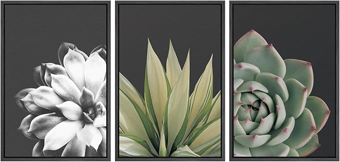 SIGNWIN Framed Wall Art Print Set Echeveria Succulent Variety Nature Plants Photography Modern Art Closeup Relax/Calm Dark Black and White for Living Room, Bedroom, Office - 24"x36"x3 Black