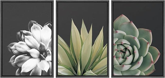 SIGNWIN Framed Wall Art Print Set Echeveria Succulent Variety Nature Plants Photography Modern Art Closeup Relax/Calm Dark Black and White for Living Room, Bedroom, Office - 24"x36"x3 Black
