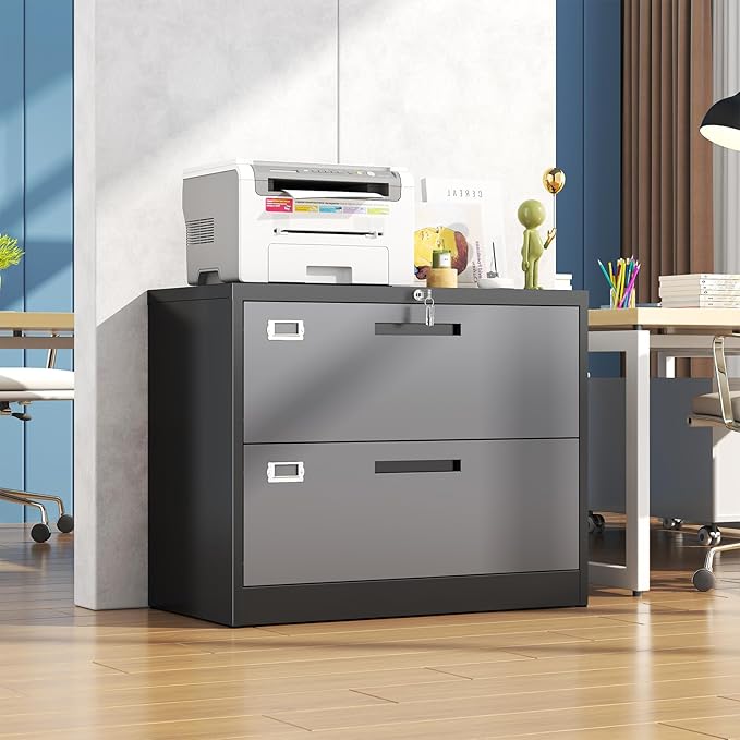 2 Drawer Locking Lateral File Cabinet, Wide&Deep Metal Filing Cabinet for Letter/Legal/A4/F4 Files, Includes Card Holder and Hanging Folders for Home Office, School, Business