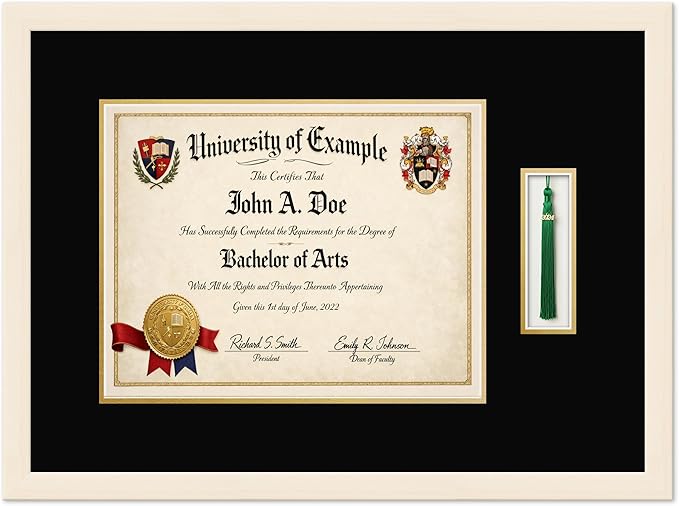 CountryArtHouse Diploma and Tassel Frame Fits 14 x 11 College Diploma (Modern) with Tassel Coastal Whitewash Genuine Hardwood Shadowbox with Black Over Metallic Gold Double mat