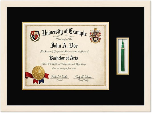 CountryArtHouse Diploma and Tassel Frame Fits 14 x 11 College Diploma (Modern) with Tassel Coastal Whitewash Genuine Hardwood Shadowbox with Black Over Metallic Gold Double mat