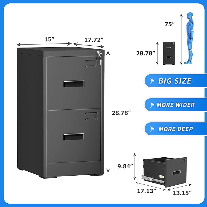 Greenvelly Metal 2 Drawer File Cabinet, Vertical File Cabinet with Lock, Locking Filing Cabinets for Home Office, Letter/Legal/A4/F4 Size/Anti-Tip (Black)