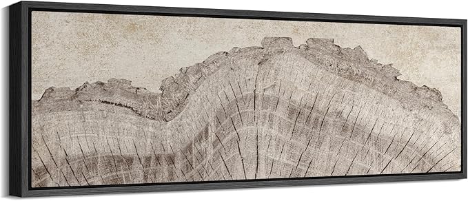 SIGNFORD Large Framed Canvas Tree Ring Texture Wood Slice Illustrations Modern Art Calm Warm for Living Room, Bedroom, Office - 60"x20"