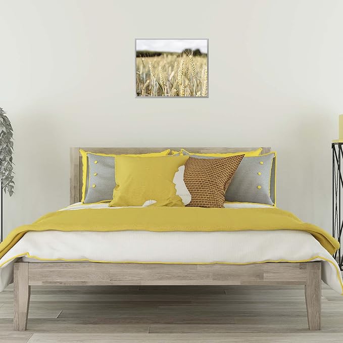 Golden State Art, Gallery Wall Frame Set of 6 - Silver 16x20 Aluminum Photo Frames with Mat for 11x14 Pictures - 16 x 20 inch Metal Frame with Real Glass Cover - Elegant Home or Office Decor