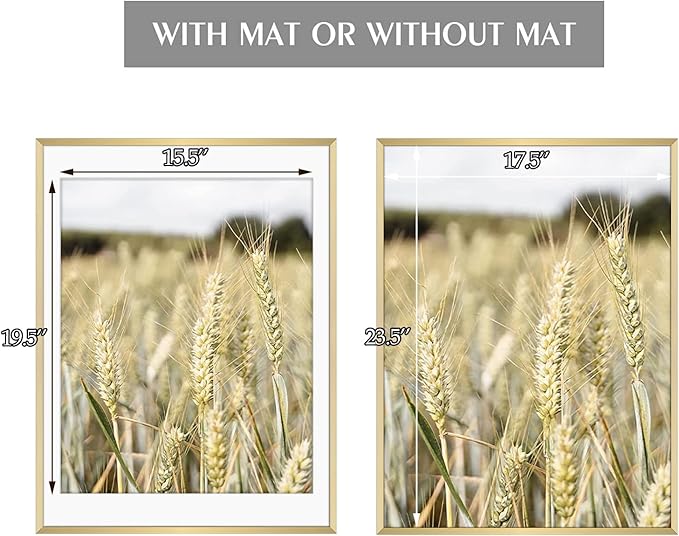 Golden State Art, Gallery Wall Frame Set of 6 - Gold 18x24 Aluminum Photo Frames with Mat for 16x20 Pictures - 18 x 24 inch Metal Frame with Real Glass Cover - Elegant Home or Office Decor