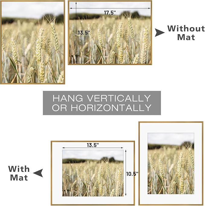 Golden State Art, Gallery Wall Frame Set of 6 - Bronze 14x18 Aluminum Photo Frames with Mat for 11x14 Pictures - 14 x 18 inch Metal Frame with Real Glass Cover - Elegant Home or Office Decor