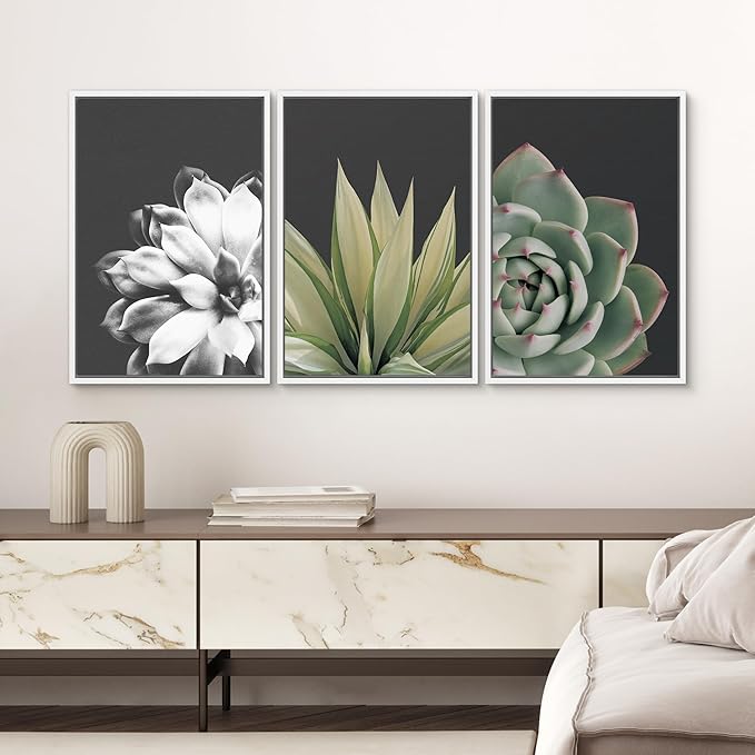 SIGNWIN Framed Wall Art Print Set Echeveria Succulent Variety Nature Plants Photography Modern Art Closeup Relax/Calm Dark Black and White for Living Room, Bedroom, Office - 24"x36"x3 White