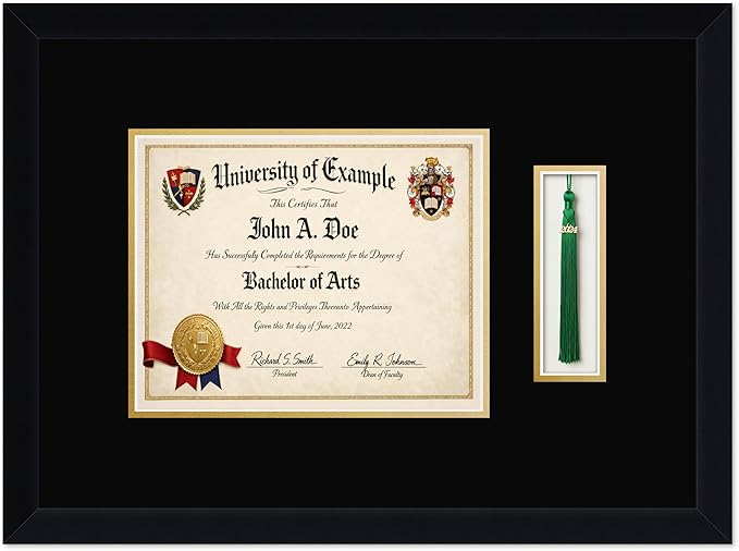 CountryArtHouse Diploma and Tassel Frame Fits 10 x 8 Professional License with Tassel Hook Matte Black Genuine Hardwood Shadowbox with Black Over Metallic Gold Double mat