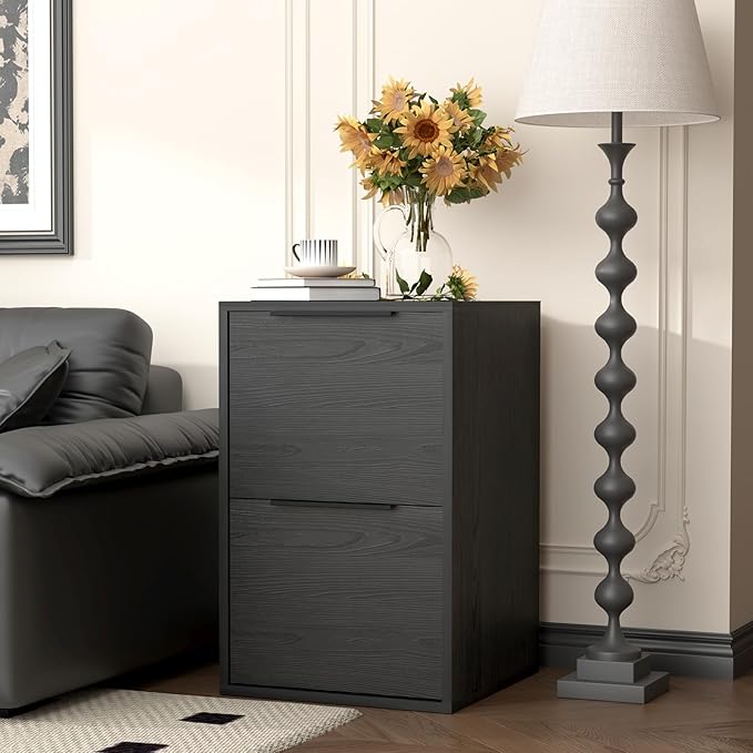 Two Drawer File Cabinet, Black Wood Filing Cabinets for Letter Size/Hanging Files, Small Under Desk File Cabinets for Home Office, Assembly Required