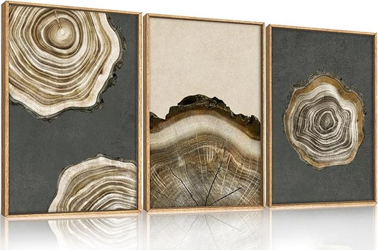 Ausril Tree Ring Framed Canvas Wall Art Set of 3- Brown and Gray Abstract Wood Tree Ring Print, 16"×24" Modern Wall Decor for Living Room, Bedroom, Office - Vintage Minimalist Gray Wood Painting