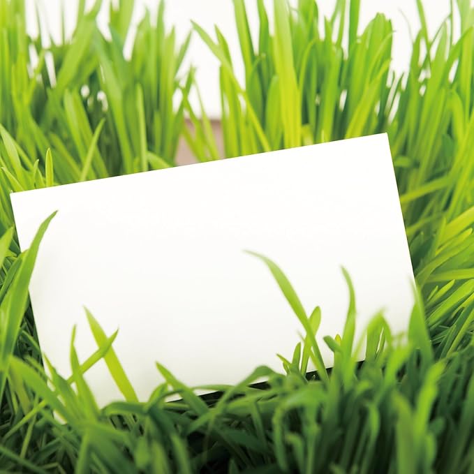 100 Sheets White Cardstock Thick Paper - Blank Heavy Weight 130 lb / 350gsm Cover Card Stock for Invitations,Stationery Printing,Scrapbooking,Crafts,DIY Cards, Paper Crafting (8.5x11 Inches)