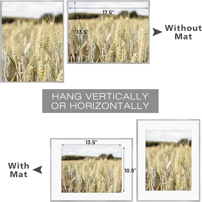 Golden State Art, Gallery Wall Frame Set of 6 - Silver 14x18 Aluminum Photo Frames with Mat for 11x14 Pictures - 14 x 18 inch Metal Frame with Real Glass Cover - Elegant Home or Office Decor