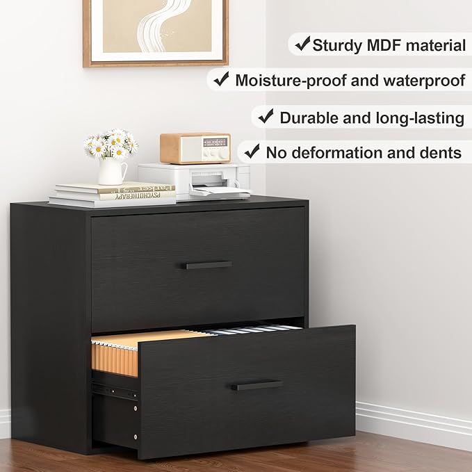Lateral File Cabinet, Wood 2 Drawer File Cabinet with Hanging Bars for Letters, Black Horizontal File Cabinets for Home Office, Black