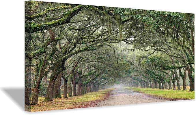 Hardy Gallery Oak Tree Canvas Wall Art: Green Landscape Artwork Forest Picture Painting for Living Room (40'' x 20'' x 1 Panel)
