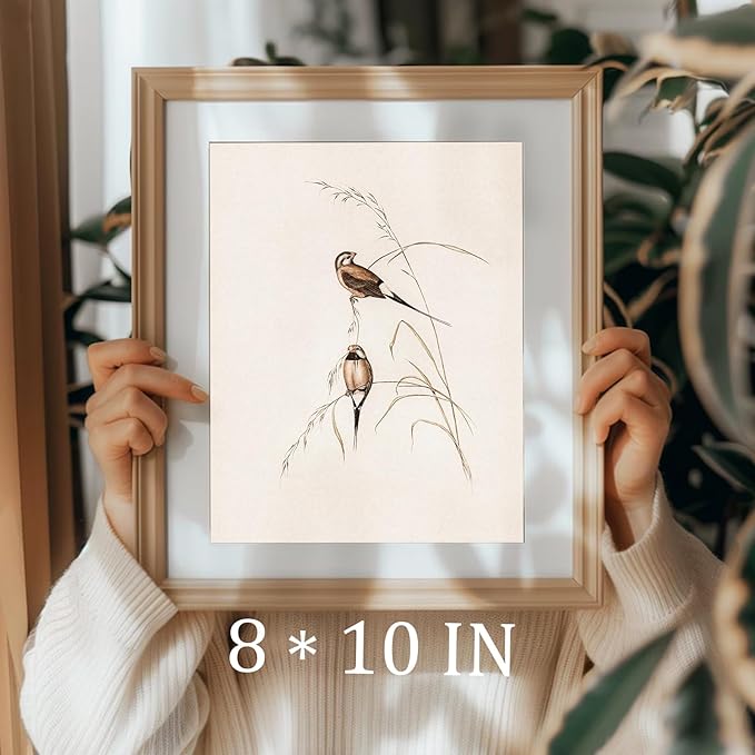 uniro Vintage Bird Wall Art Farmhouse Retro Pictures Canvas Sparrow Birds Poster Abstract Avian Wall Decor birds Themed Vintage Inspired bird Decor Modern Home Decor(8" x 10"-UNFRAMED)