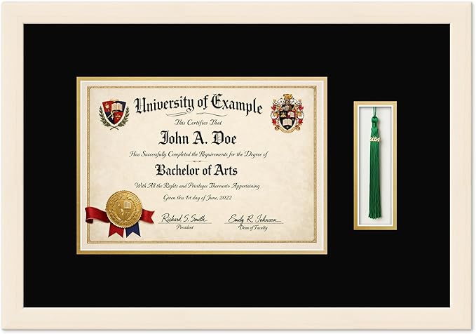 CountryArtHouse Diploma and Tassel Frame Fits 11.69 x 8.27 A4 Certificate with Tassel H Coastal Whitewash Genuine Hardwood Shadowbox with Black Over Metallic Gold Double mat
