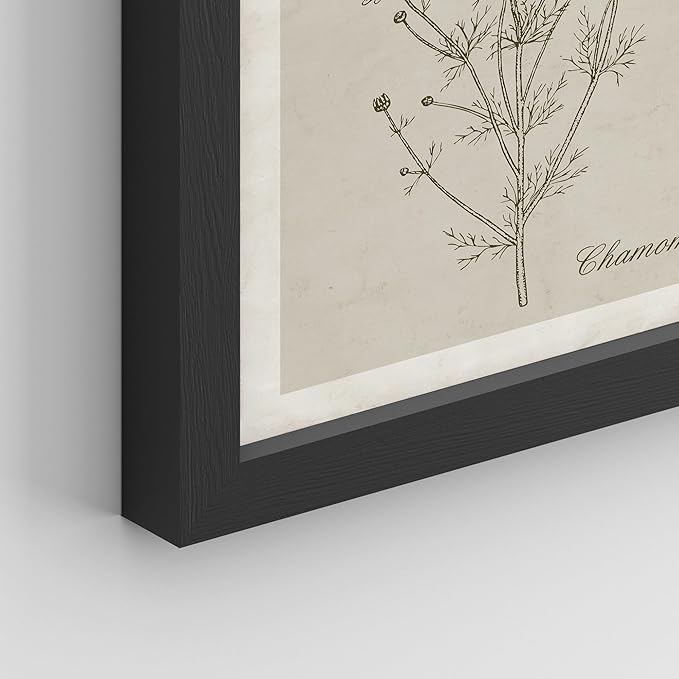 SIGNWIN Framed Poster Wall Art Set of Wildflower, Botanical Floral, Minimalist Decor, Vintage Poster for Living Room, Bedroom, Office - 11"x14"x 8 Black