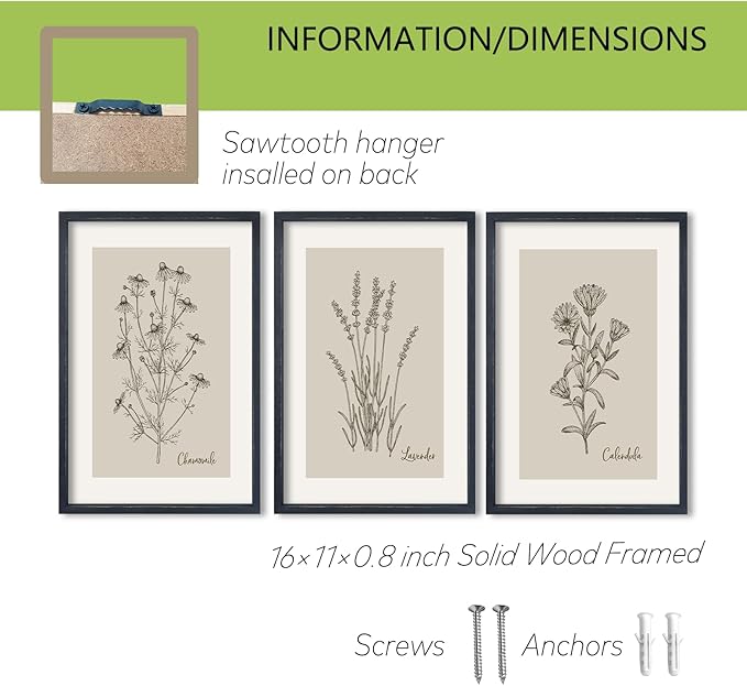 TQianJiang Set Of 3 Framed Vintage Botanical Prints Wall Art 16"×11" Wildflower Pictures Wall Decor for Bedroom Bathroom Living Room Minimalist Line Drawing Neutral Tones Wall Hanging (Black)