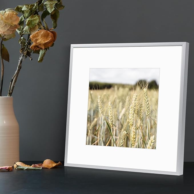 Golden State Art, Gallery Wall Frame Set of 6 - Silver 12x12 Aluminum Photo Frames with Mat for 8x8 Pictures - 12 x 12 inch Metal Frame with Real Glass Cover - Elegant Home or Office Decor