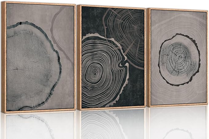 Ausril Tree Ring Framed Canvas Wall Art Set of 3, Modern Beige Wood Stump Wall Decor, Black and Gray Tree Spiral Wall Painting, Neutral Nature Art Print for Living Room, Bedroom, Office - 36"x24"
