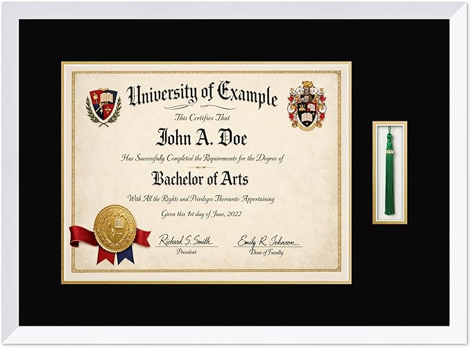 CountryArtHouse Diploma and Tassel Frame Fits 17 x 13 International Diploma with Tassel Hook Bright White Genuine Hardwood Shadowbox with Black Over Metallic Gold Double mat