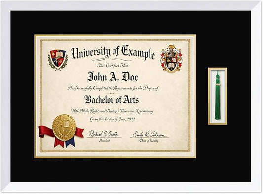 CountryArtHouse Diploma and Tassel Frame Fits 17 x 13 International Diploma with Tassel Hook Bright White Genuine Hardwood Shadowbox with Black Over Metallic Gold Double mat