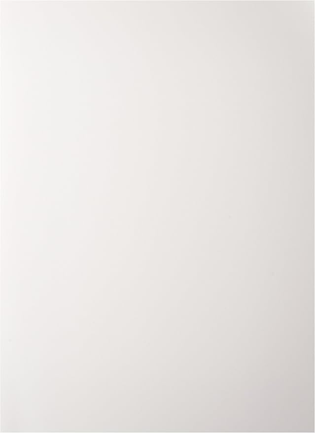 EPSS045596 - Professional Media Metallic Photo Paper Luster