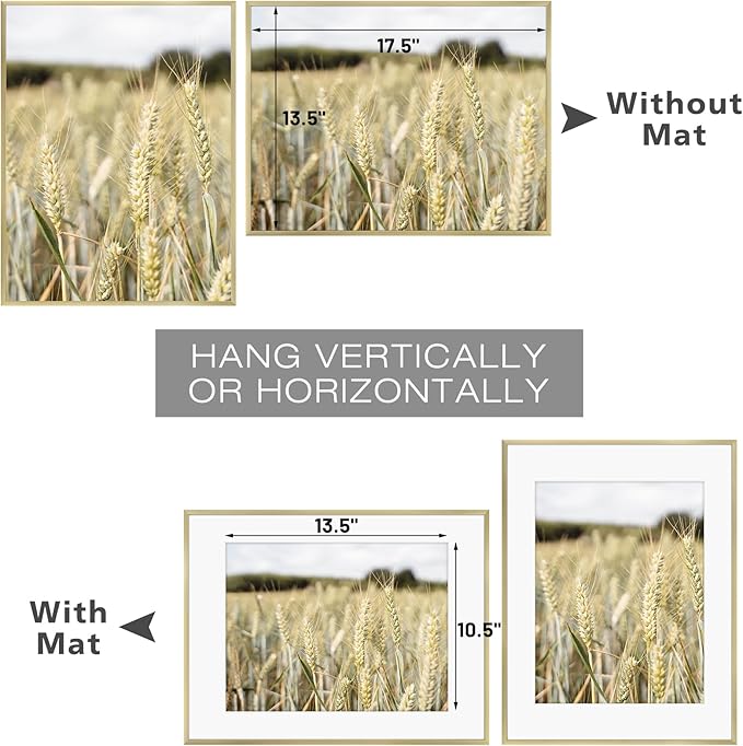 Golden State Art, Gallery Wall Frame Set of 6 - Gold 14x18 Aluminum Photo Frames with Mat for 11x14 Pictures - 14 x 18 inch Metal Frame with Real Glass Cover - Elegant Home or Office Decor