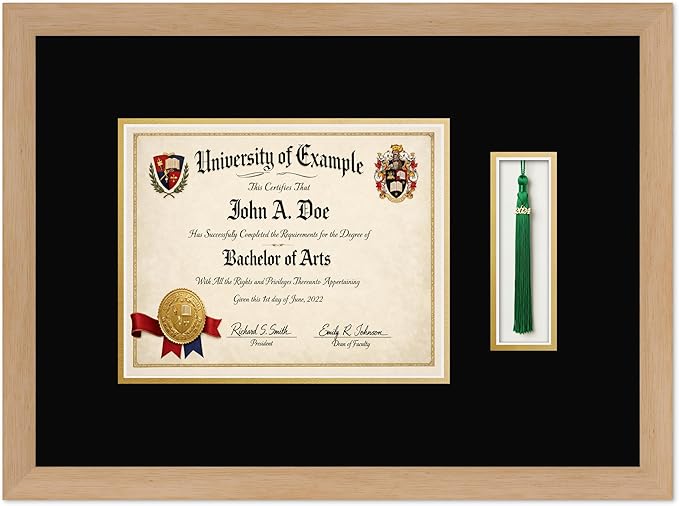 CountryArtHouse Diploma and Tassel Frame Fits 10 x 8 Professional License with Tassel Hook Natural Wood Genuine Hardwood Shadowbox with Black Over Metallic Gold Double mat
