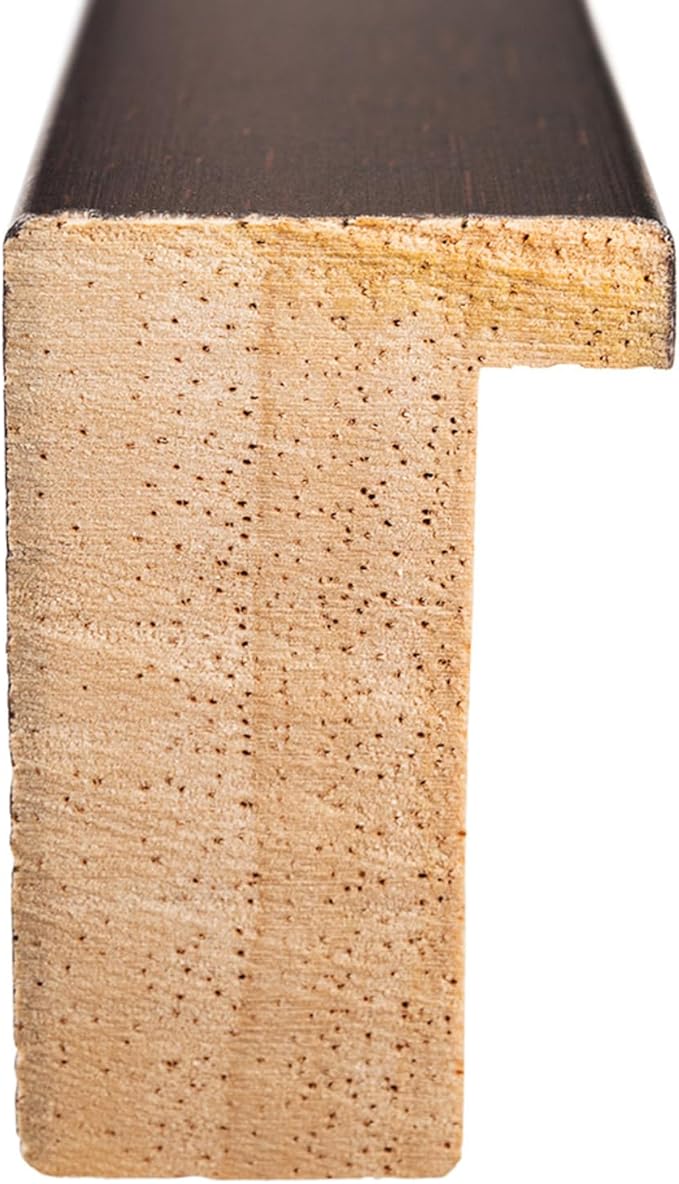 Diploma Frame with Tassel Holder Rustic Walnut Shadowbox Oyster Shell Over Gold Mat - Fits 10 x 8 Degree Made in the USA