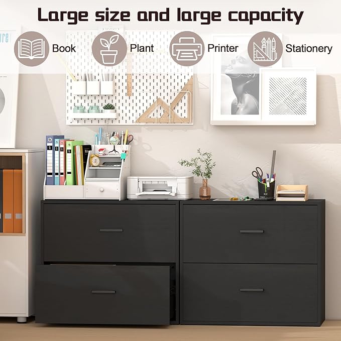 2 Drawer Lateral File Cabinet, Printer Stand Black Filing Cabinets for Home Office and School, Wood Rattan File Cabinet for Hanging Files/Letter/Legal Size, Black