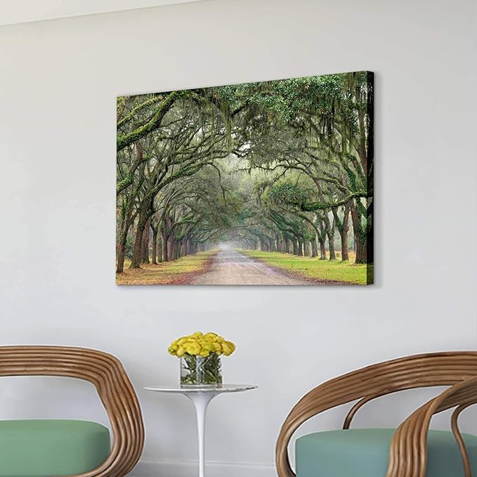 Hardy Gallery Green Forest Landscape Wall Art: Nature Canvas Oak Tree Lined Road of Savannah Artwork Picture Large Painting for Home Wall Decor (45'' x 30'' x 1 Panel)