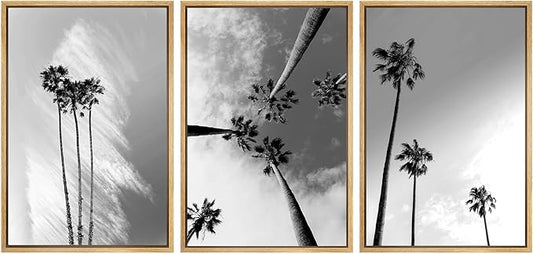 SIGNWIN 3 Piece Framed Canvas Wall Art Black and White Palm Tree Canvas Prints Home Artwork Decoration for Living Room,Bedroom - 16"x24"x3 Natural