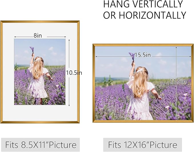 Golden State Art, Gallery Wall Frame Set of 6 - Bronze 16x20 Aluminum Photo Frames with Mat for 11x14 Pictures - 16 x 20 inch Metal Frame with Real Glass Cover - Elegant Home or Office Decor