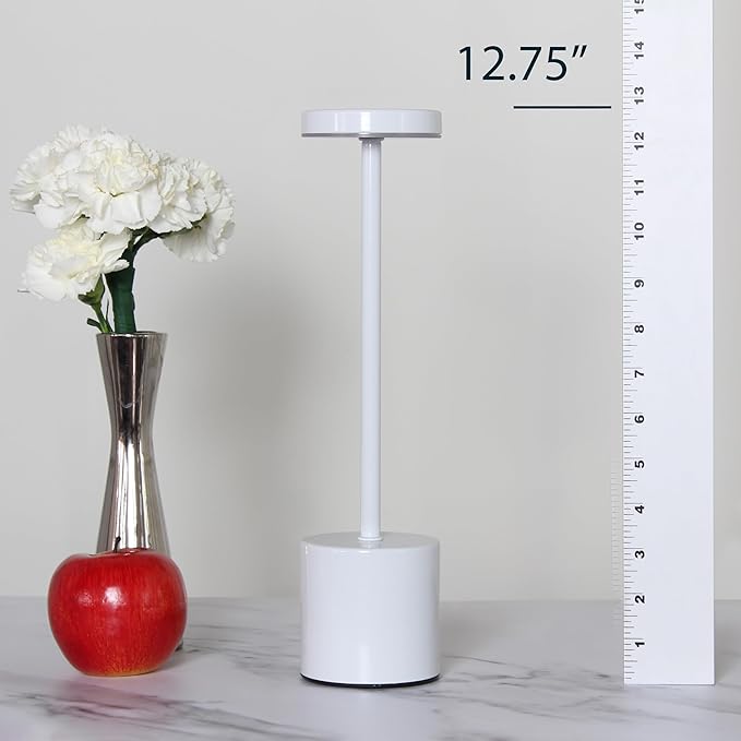 Simple Designs LD1083-WHT 12.75" Mushroom Magic Disc Dimming & Rechargeable Cordless 4-Way Touch Sensor Stick Desk Lamp, White