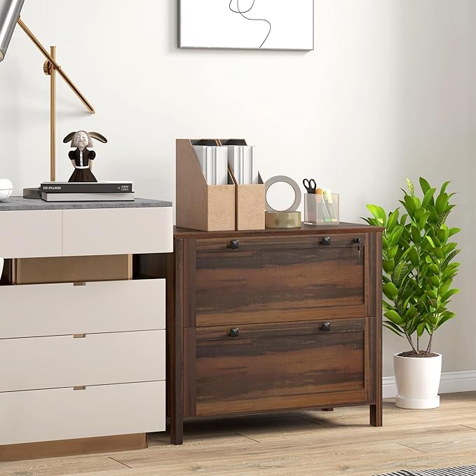 2 Drawer File Cabinet with Lock,Modern Farmhouse Home Office Filing Organizer for Letter Legal A4 Size File Folder Storage,Lateral Filing Cabinet with Keys and Adjustable Hanging Bar (Style-01)