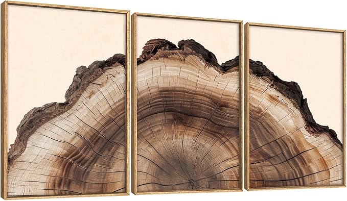 KAIRNE Framed Tree Ring Wall Art Set, Retro Wood Stump Wall Decor, Tree Spiral Wall Painting, Modern Nature Canvas Art Prints for Living Room, Bedroom, Dinning Room, Farmhouse - Large 16"x24"x3