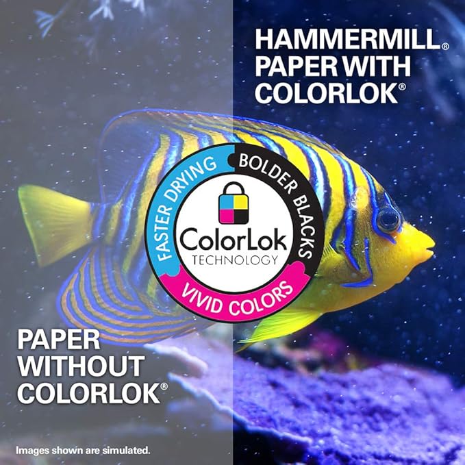 Hammermill Printer Paper, Multipurpose Inkjet Paper 24 lb, 8.5 x 11-96 Bright, Made in the USA, 105050C - 5 Ream (2,500 Sheets)